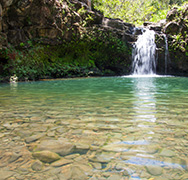 Hike Maui