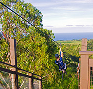 Zip line Adventure