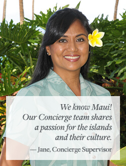 Activities on Maui by Westin
